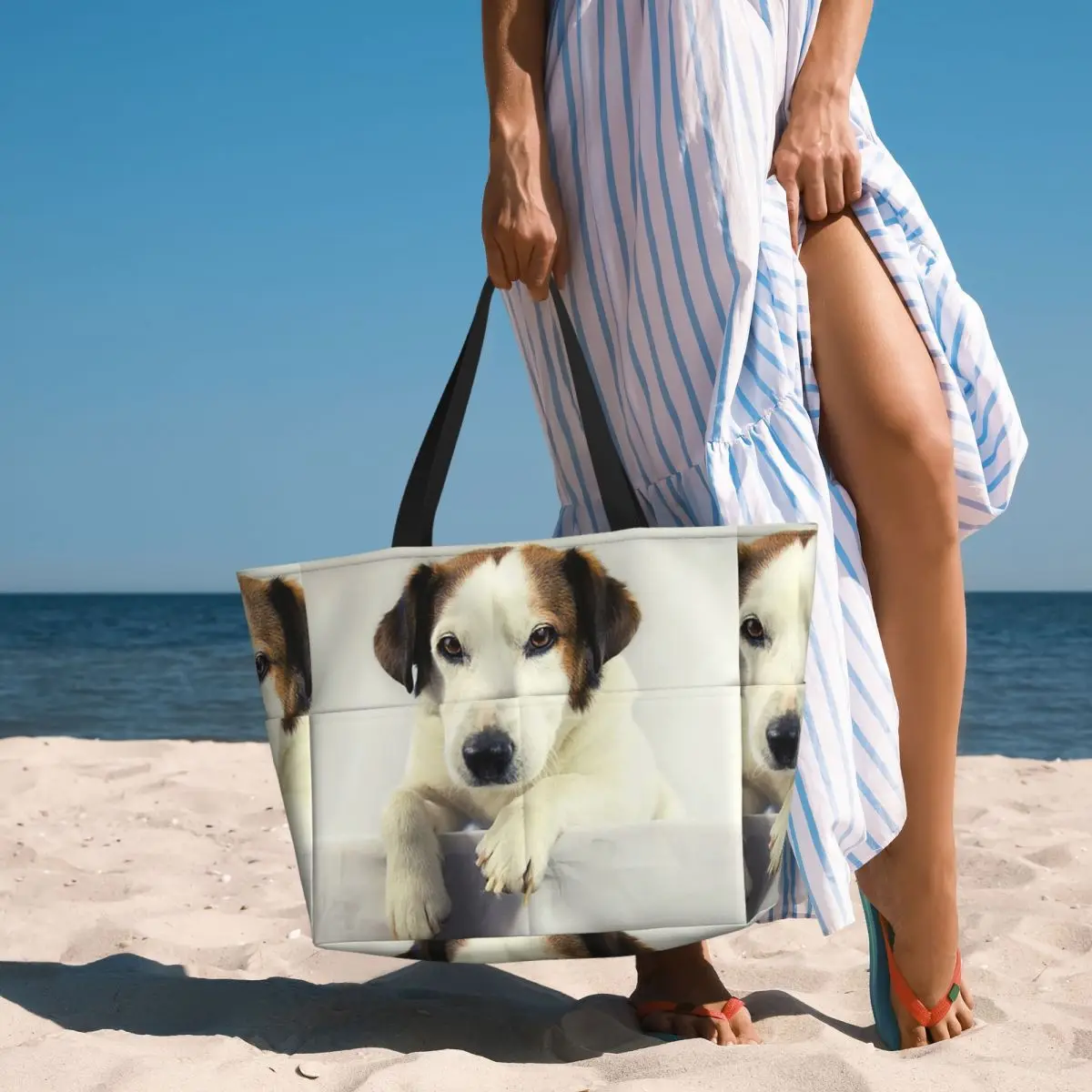 Yoga Fitness Photos - Dog Jack Russell Terrier Photo Beach