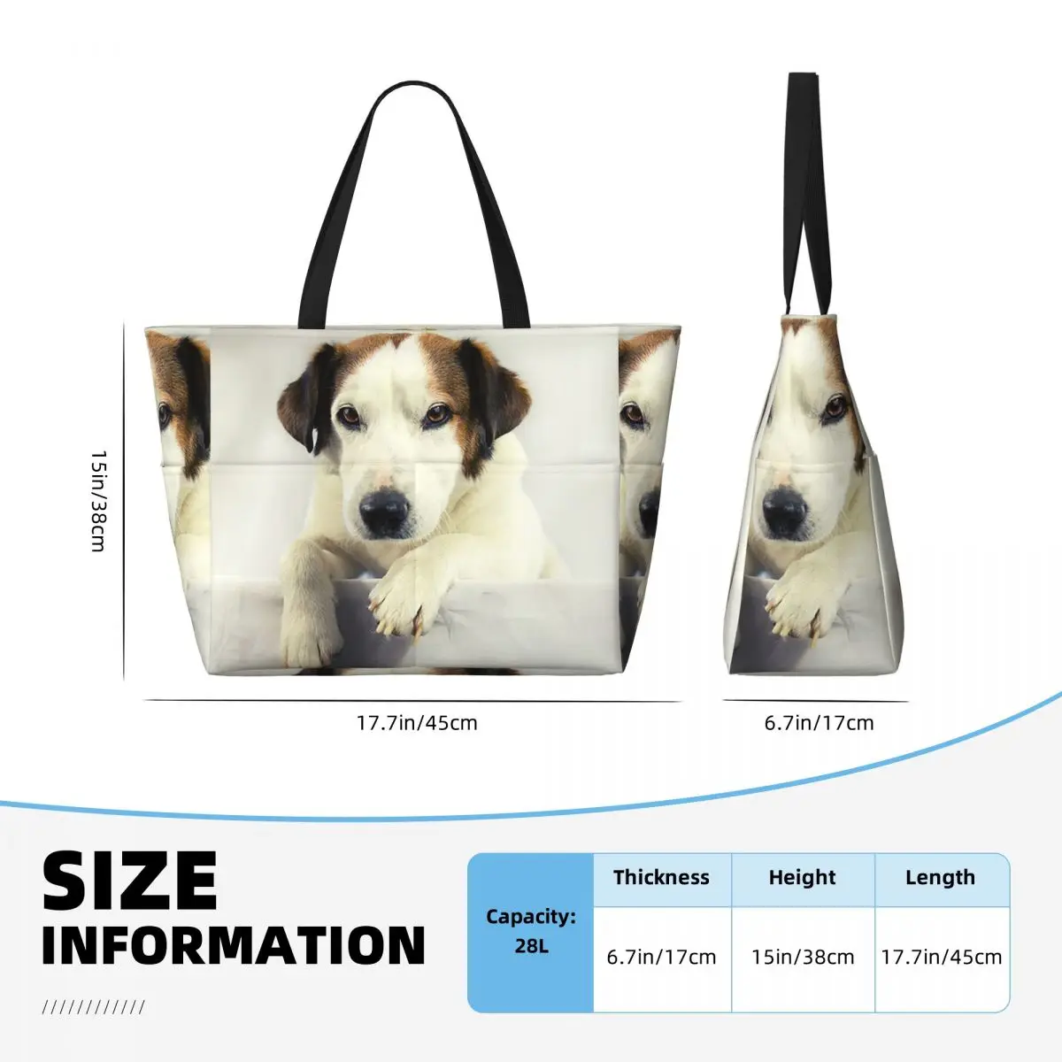 Dog Jack Russell Terrier Photo - Yoga Fitness Photos incelemesi ve fiyatı